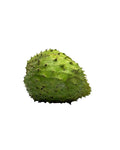 Soursop