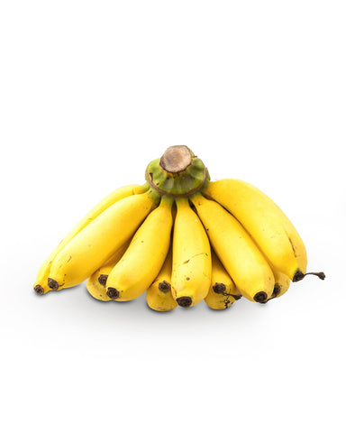 Baby Bananas